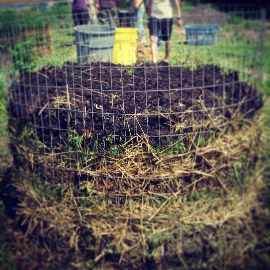 All About Composting Lawn Mowing, Grass Cutting, Gardening Surrey