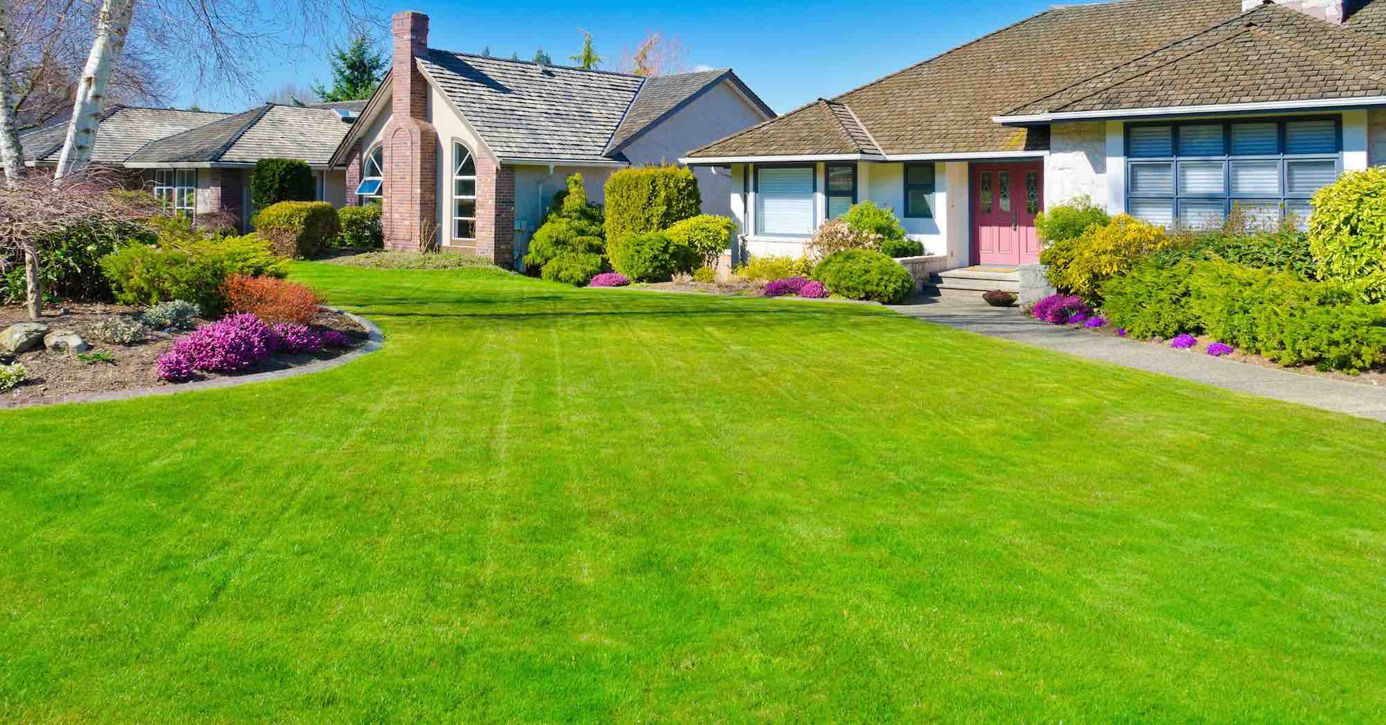 Yard Clean Up Spring Fall Cleanups Surrey Langley White Rock